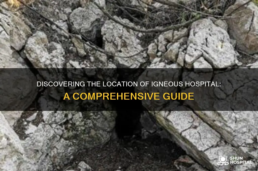where is igneous hospital