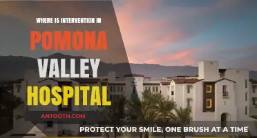 Pomona Valley Hospital: Exploring Intervention Services and Accessibility