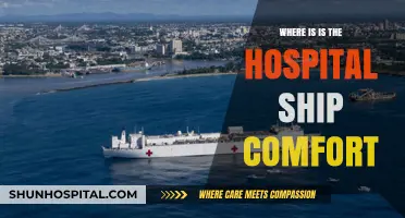 Tracking the USNS Comfort: Current Location and Mission Updates