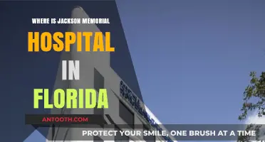 Jackson Memorial Hospital Location: A Guide to Miami, Florida's Healthcare Hub