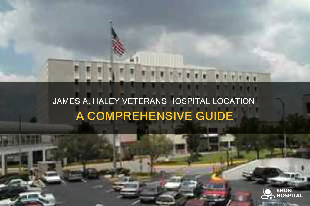 where is james a haley veterans hospital