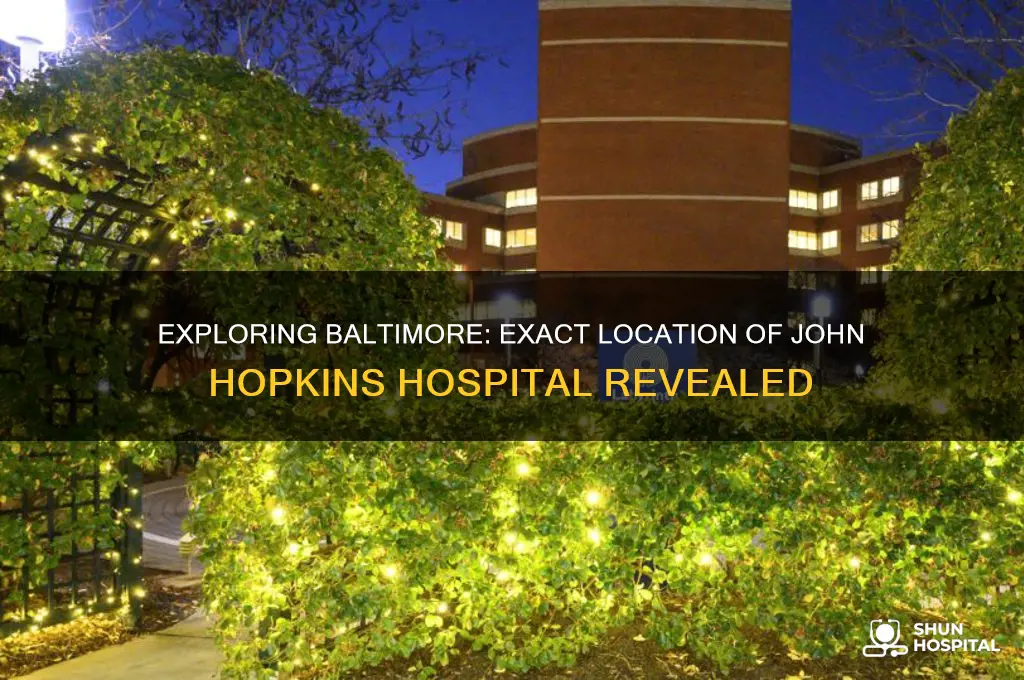 where is john hopkins hospital in baltimore