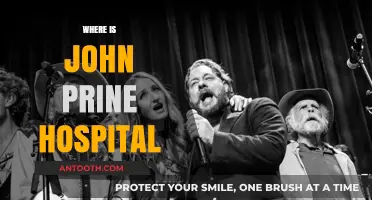 John Prine's Final Days: Hospital Location and Legacy Revealed