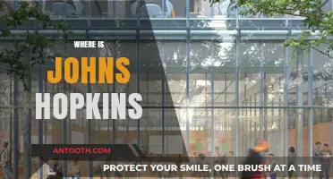 Discovering Johns Hopkins: Location, Campus, and Community Insights
