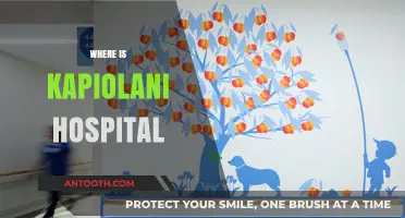 Discovering Kapiolani Hospital's Location in Honolulu, Hawaii