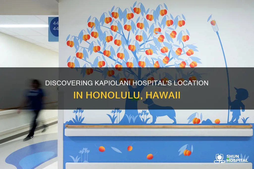 where is kapiolani hospital