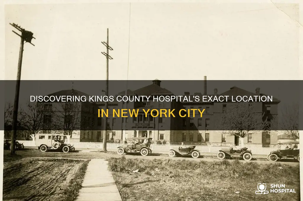 where is kings county hospital new york