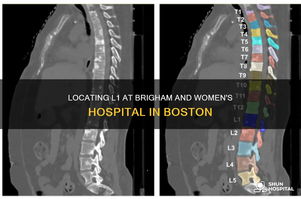 where is l1 at brigham and women
