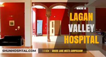 Discovering Lagan Valley Hospital: Location, Directions, and Accessibility Guide