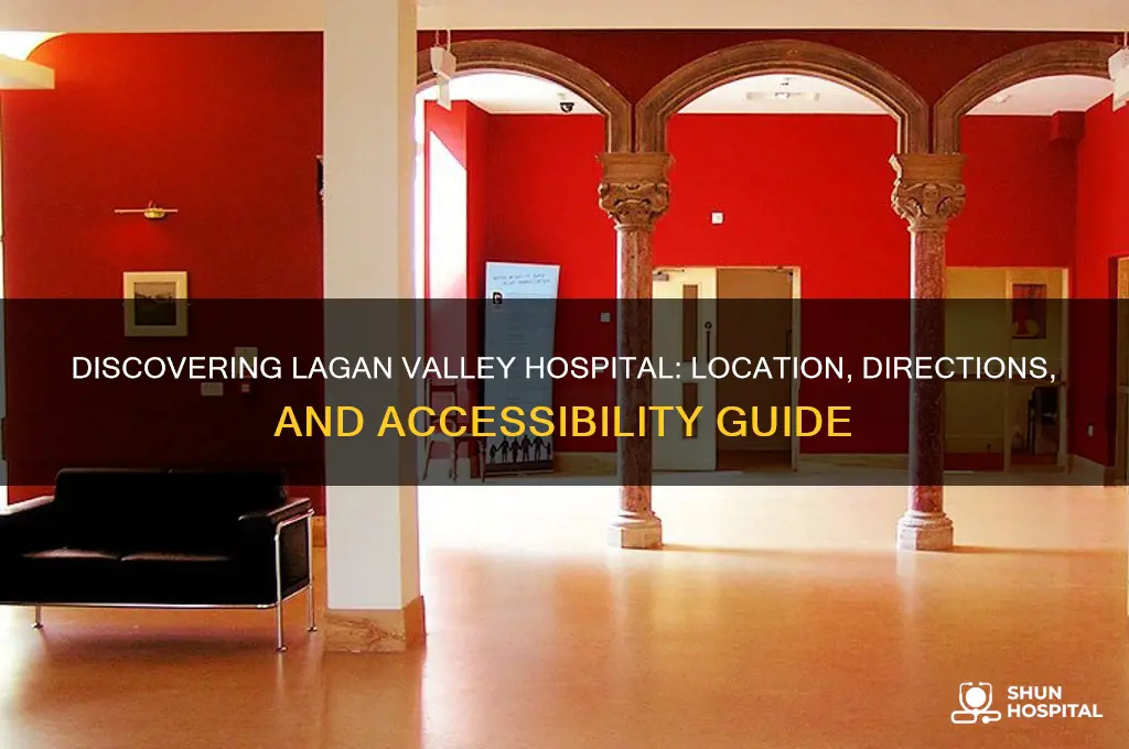 where is lagan valley hospital