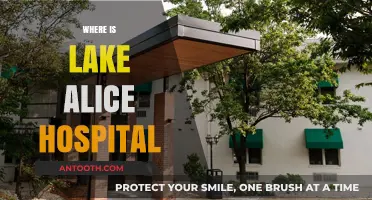 Unveiling the Location of Lake Alice Hospital: A Historical Overview