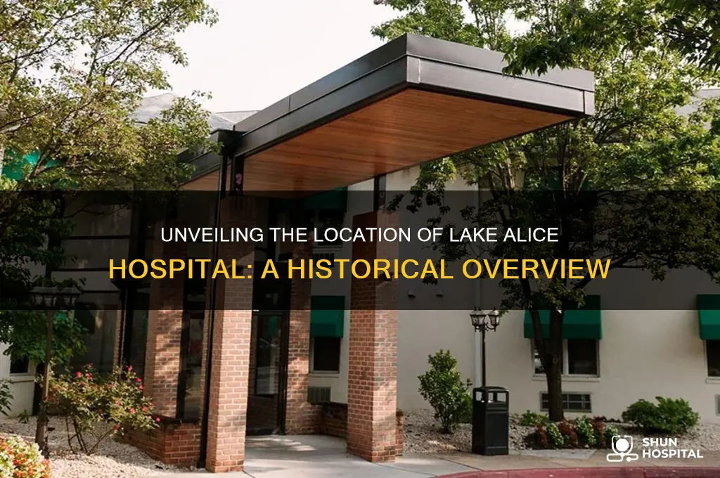 where is lake alice hospital