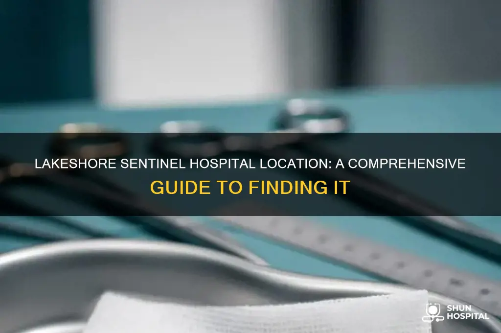 where is lakeshore sentinel hospital