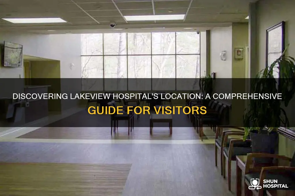 where is lakeview hospital