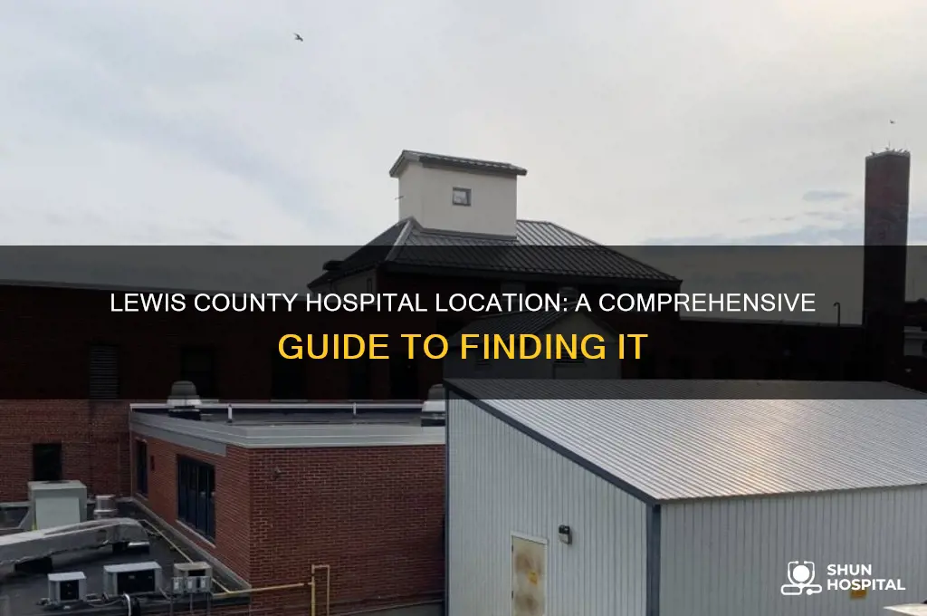 where is lewis county hospital