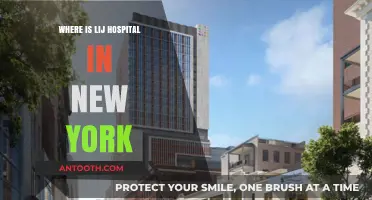 Discovering LIJ Hospital's Exact Location in New York City