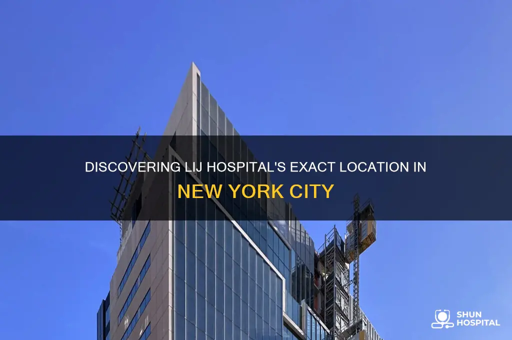 where is lij hospital in new york