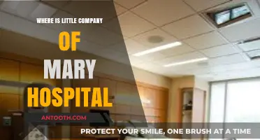 Little Company of Mary Hospital Location: A Comprehensive Guide to Finding It