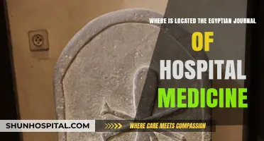 Discovering the Location of the Egyptian Journal of Hospital Medicine