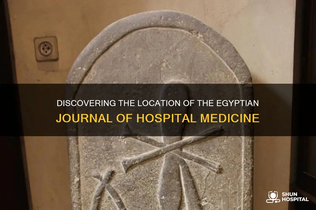 where is located the egyptian journal of hospital medicine