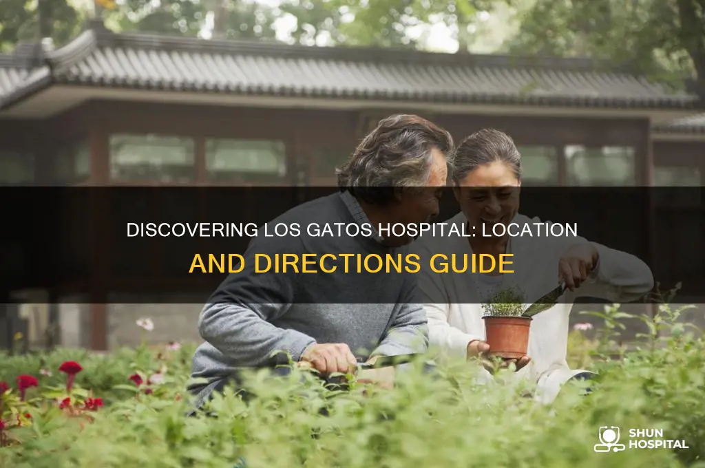 where is los gatos hospital