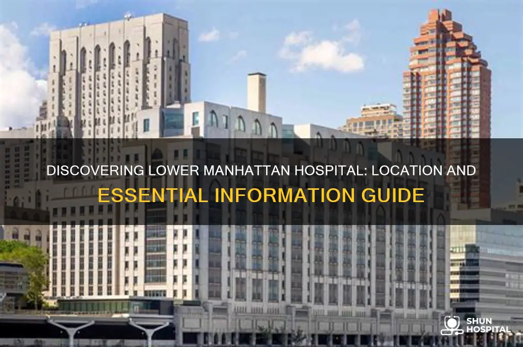 where is lower manhattan hospital