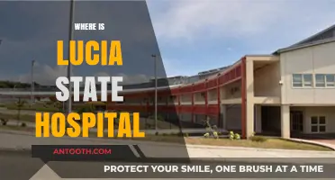 Discovering Lucia State Hospital's Location: A Comprehensive Guide