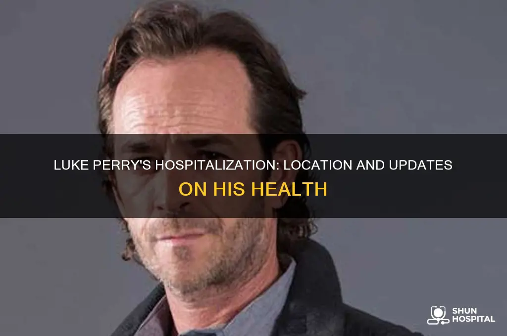 where is luke perry hospitalized