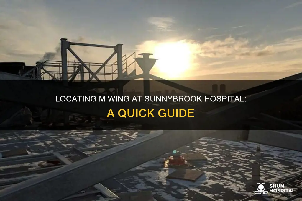 where is m wing at sunnybrook hospital