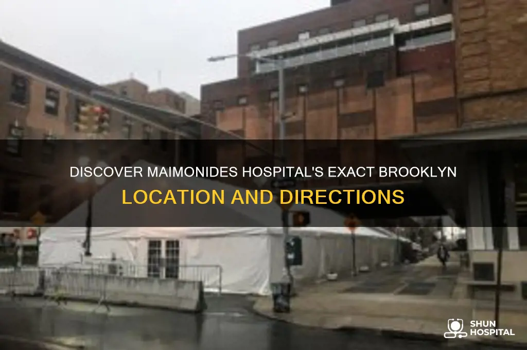 where is maimonides hospital located in brooklyn
