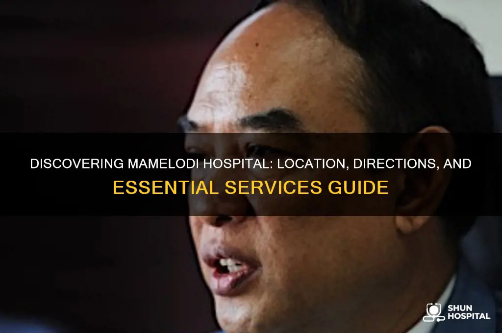 where is mamelodi hospital