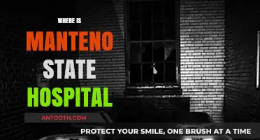 Exploring the Location and History of Manteno State Hospital