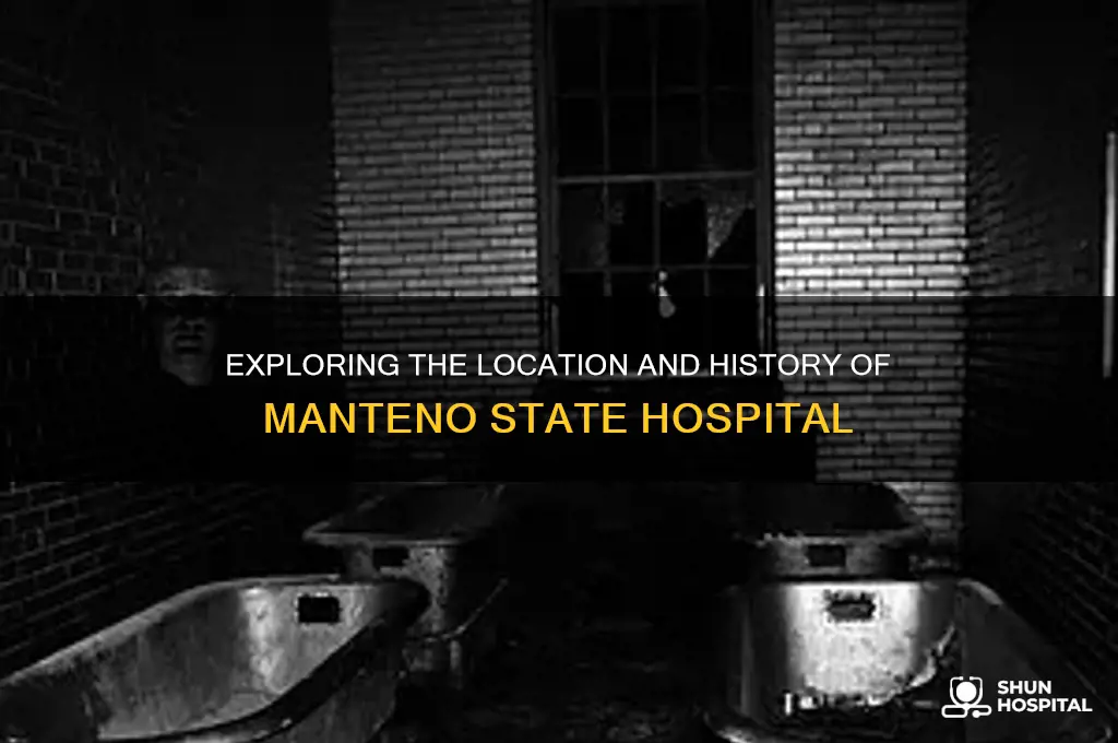 where is manteno state hospital