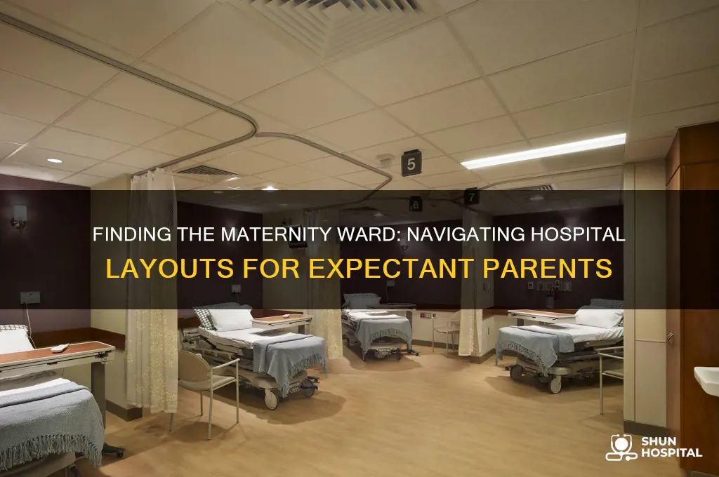 where is maternity section of a hospital