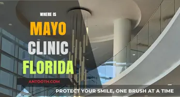 Discovering Mayo Clinic Florida: Location, Access, and Healthcare Excellence