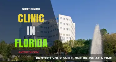Exploring Healthcare Excellence: Mayo Clinic's Florida Location