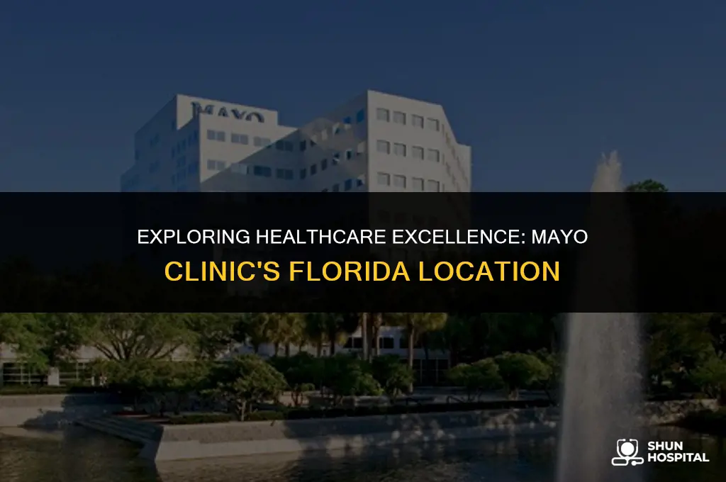 where is mayo clinic in florida