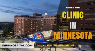 Exploring the Location of Mayo Clinic in Minnesota