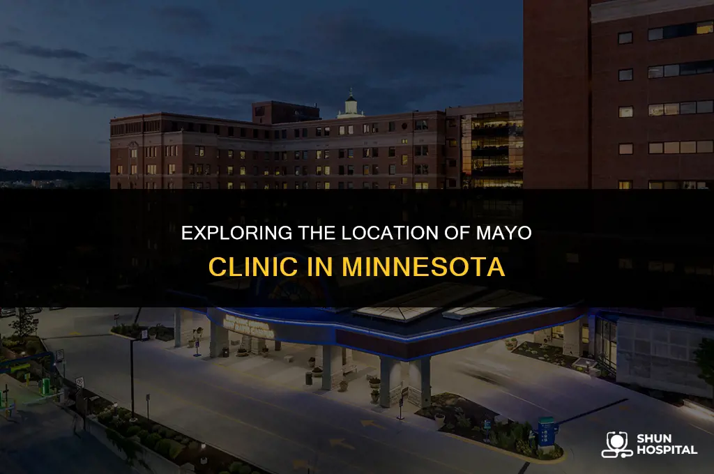 where is mayo clinic in minnesota