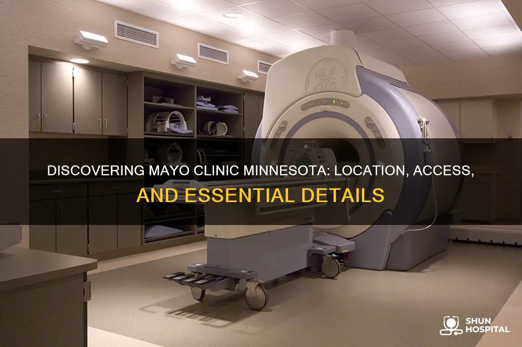 where is mayo clinic minnesota