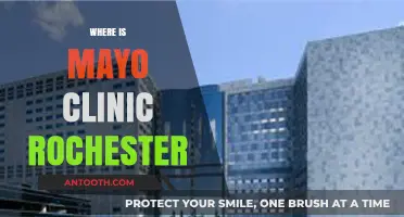 Discovering Mayo Clinic Rochester: Location, Directions, and Essential Details