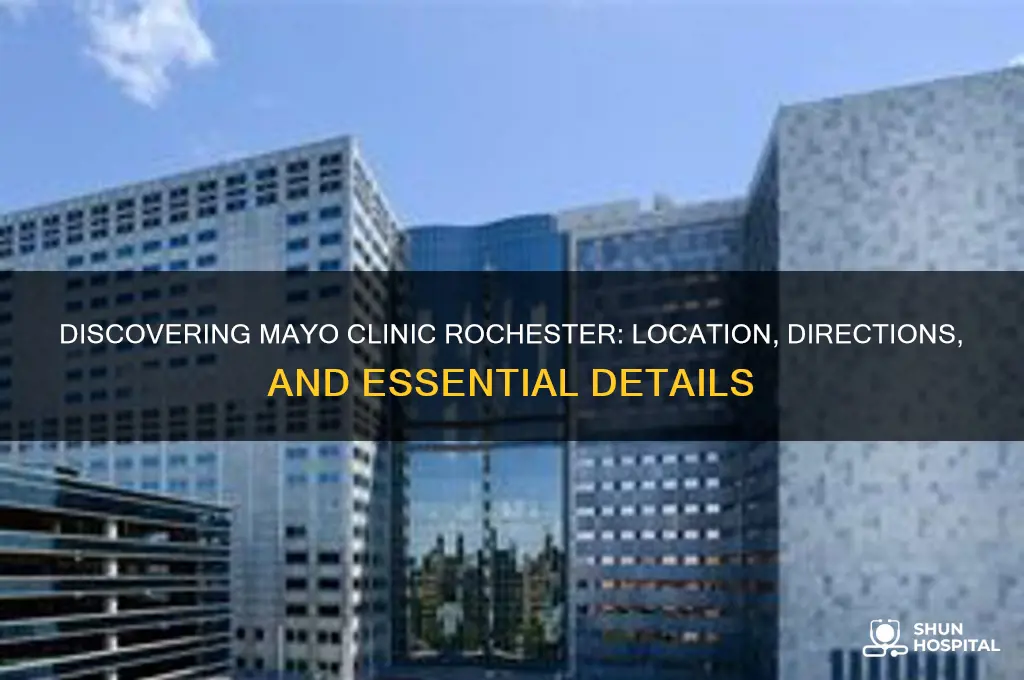 where is mayo clinic rochester