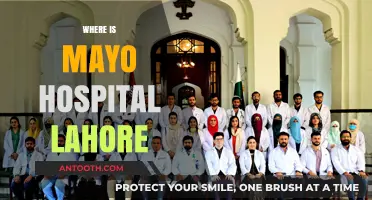 Discovering Mayo Hospital Lahore: Location, Directions, and Accessibility Guide