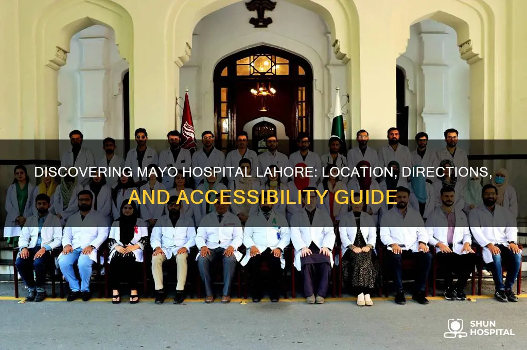 where is mayo hospital lahore