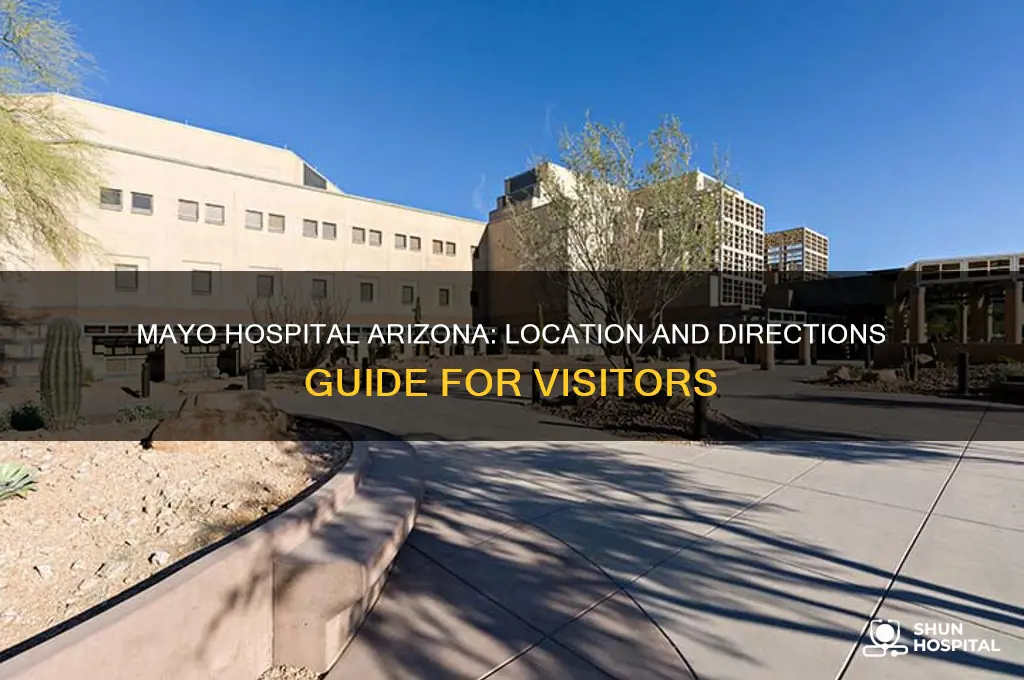 where is mayo hospital located at arizona