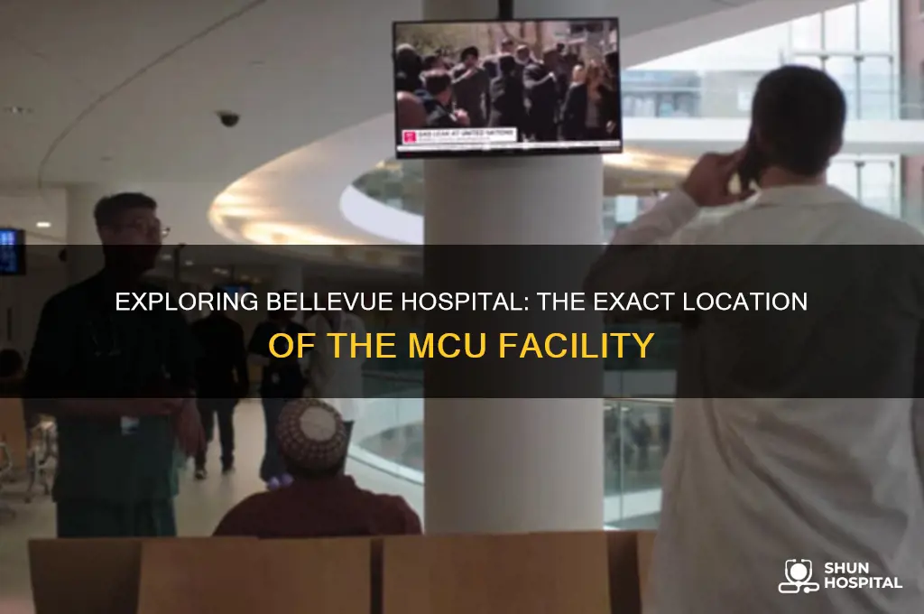 where is mcu located at bellevue hospital