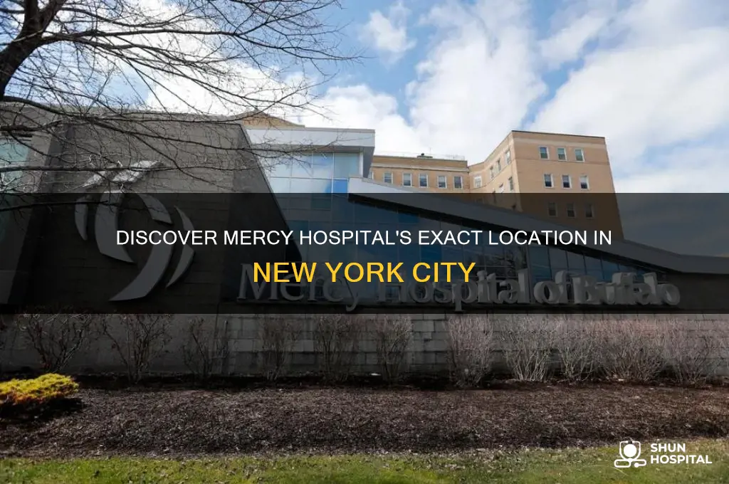 where is mercy hospital in new york