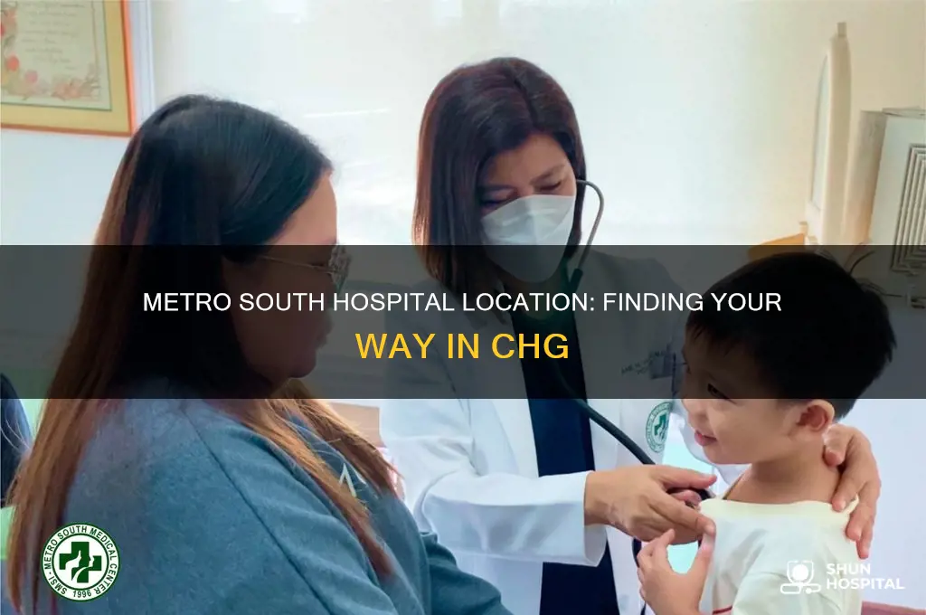 where is metro south hospital in chg