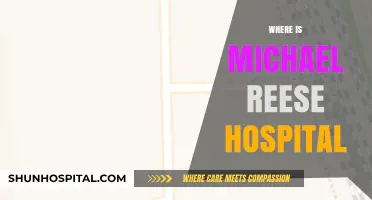 Where is Michael Reese Hospital? Uncovering Its Location and Legacy