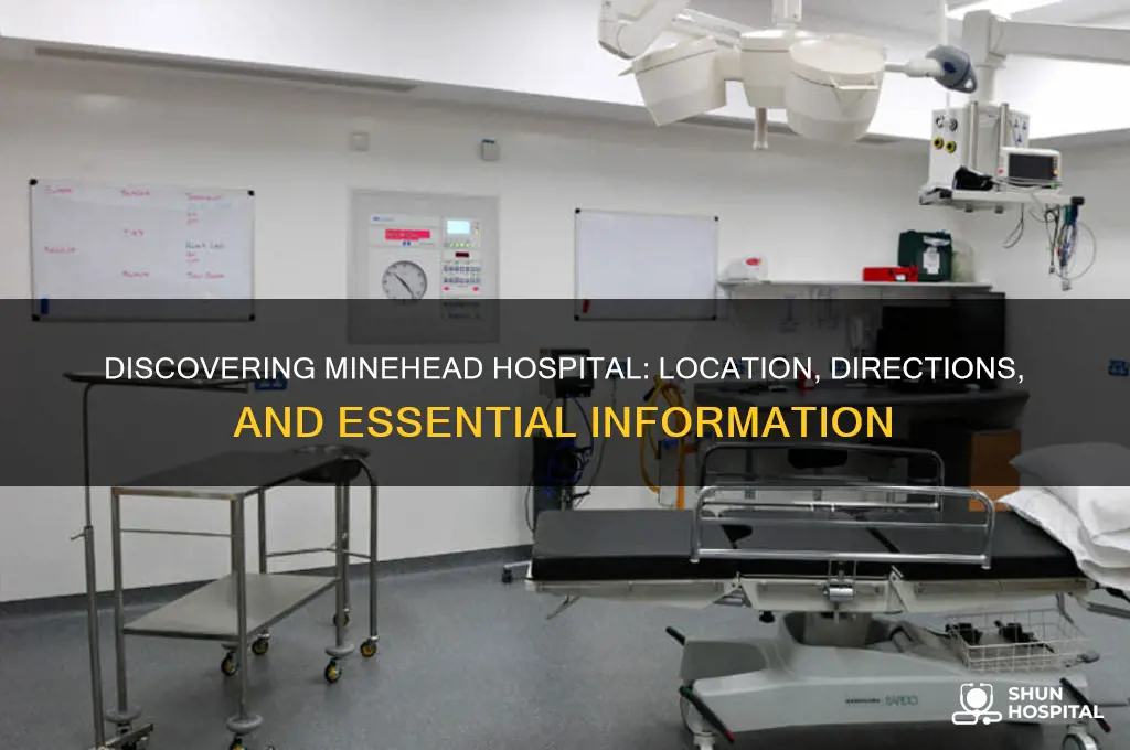 where is minehead hospital